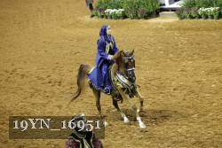 19YN_16951 thumbnail