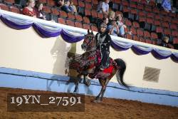 19YN_27591 thumbnail