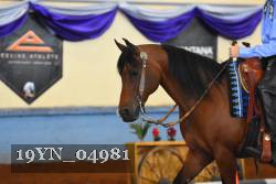 19YN_04981 thumbnail