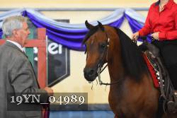 19YN_04989 thumbnail