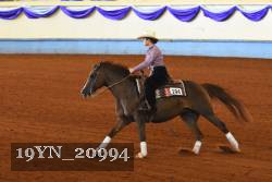 19YN_20994 thumbnail
