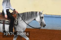 19YN_21084 thumbnail