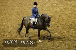 19YN_05737 thumbnail