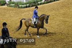 19YN_05740 thumbnail
