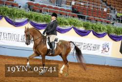19YN_05741 thumbnail