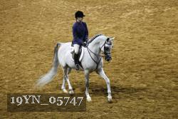 19YN_05747 thumbnail