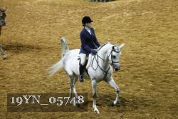 19YN_05748 thumbnail