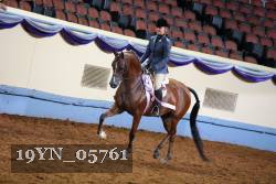 19YN_05761 thumbnail
