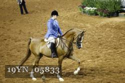 19YN_05833 thumbnail