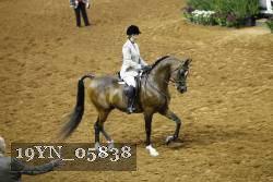 19YN_05838 thumbnail