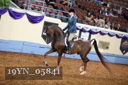 19YN_05841 thumbnail