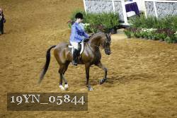 19YN_05844 thumbnail