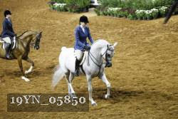 19YN_05850 thumbnail