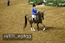 19YN_05853 thumbnail