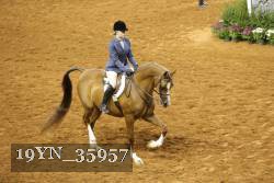 19YN_35957 thumbnail