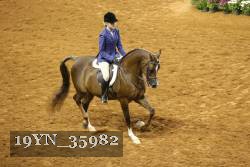 19YN_35982 thumbnail