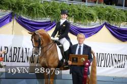 19YN_28975 thumbnail