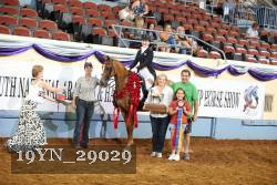19YN_29029 thumbnail