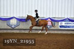 19YN_21955 thumbnail