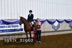 19YN_21962 thumbnail