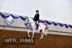 19YN_21995 thumbnail