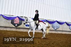 19YN_21996 thumbnail