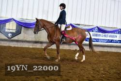 19YN_22000 thumbnail