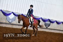 19YN_22001 thumbnail