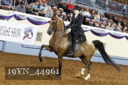 19YN_44961 thumbnail