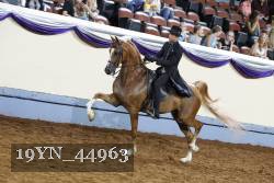 19YN_44963 thumbnail