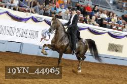 19YN_44965 thumbnail