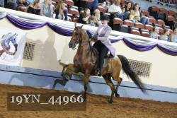 19YN_44966 thumbnail