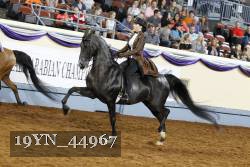 19YN_44967 thumbnail