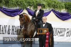 19YN_45022 thumbnail