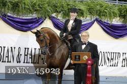 19YN_45023 thumbnail