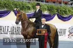 19YN_45024 thumbnail