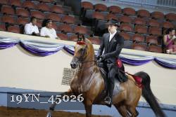 19YN_45026 thumbnail