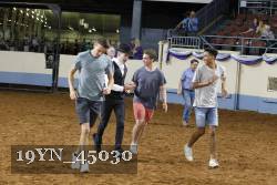 19YN_45030 thumbnail