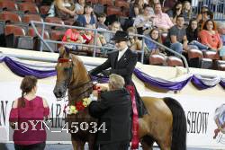 19YN_45034 thumbnail