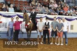 19YN_45039 thumbnail