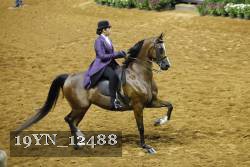 19YN_12488 thumbnail