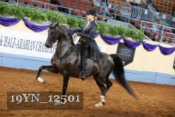19YN_12501 thumbnail