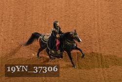 19YN_37306 thumbnail