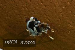 19YN_37324 thumbnail