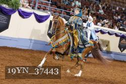 19YN_37443 thumbnail