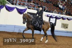 19YN_39032 thumbnail