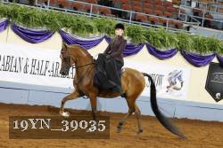19YN_39035 thumbnail