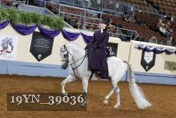 19YN_39036 thumbnail