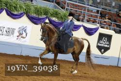 19YN_39038 thumbnail