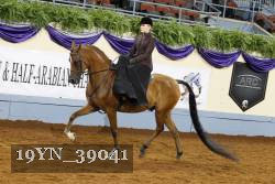 19YN_39041 thumbnail